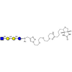 Globotetraose (Gb4) analogue linked to biotin (Linker-BT A)