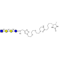 Globotetraose (Gb4) analogue linked to desthiobiotin (Linker-DBT-A)