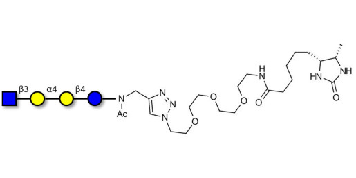 Globotetraose (Gb4) analogue linked to desthiobiotin (Linker-DBT-A) - Gb4 analogue