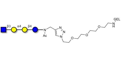 Globotetraose (Gb4) analogue grafted on gel for affinity chromatography (Linker-GEL A) - Gb4 analogue