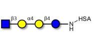 Globotetraose (Gb4)...