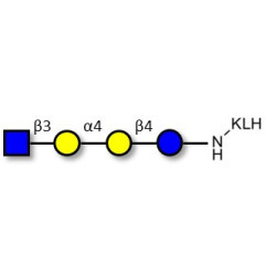 Globotetraose (Gb4) analogue grafted on KLH