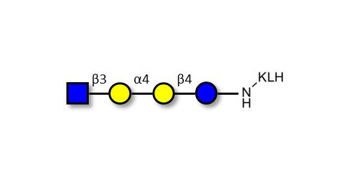 Globotetraose (Gb4) analogue grafted on KLH - Gb4 analogue