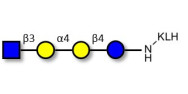 Globotetraose (Gb4)...
