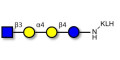 Globotetraose (Gb4) analogue grafted on KLH - Gb4 analogue