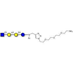 Globotetraose (Gb4) analogue with free terminal amine (Linker-NH2 B)