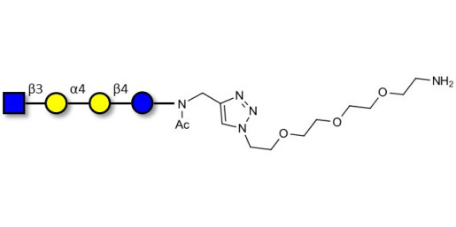 Globotetraose (Gb4) analogue with free terminal amine (Linker-NH2 B) - Gb4 analogue