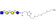 Globotetraose (Gb4)...