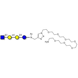 Globotetraose (Gb4) analogue with free terminal amine (Linker-NH2 C)