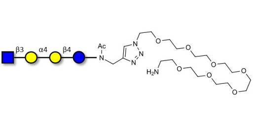 Globotetraose (Gb4) analogue with free terminal amine (Linker-NH2 C) - Gb4 analogue