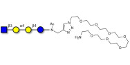 Globotetraose (Gb4)...