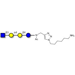 Globotetraose (Gb4) analogue with free terminal amine (Linker-NH2 D)