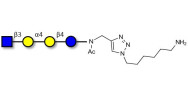 Globotetraose (Gb4)...