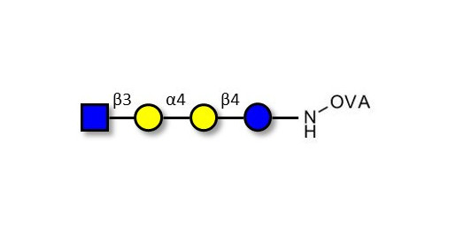 Globotetraose (Gb4) analogue grafted on OVA - Gb4 analogue