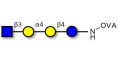 Globotetraose (Gb4) analogue grafted on OVA - Gb4 analogue