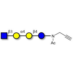 Globotetraose (Gb4) analogue with terminal alkyne (Linker-CΞCH A)