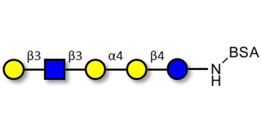 Globopentaose (Gb5) analogue type 1 grafted on BSA - Gb5 analogue type 1