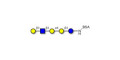 Globopentaose (Gb5) analogue type 1 grafted on BSA - Gb5 analogue type 1