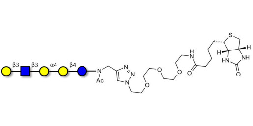 Globopentaose (Gb5) analogue type 1 linked to biotin (Linker-BT A) - Gb5 analogue type 1