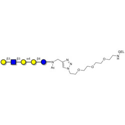 Globopentaose (Gb5) analogue type 1 grafted on gel for affinity chromatography (Linker-GEL A)