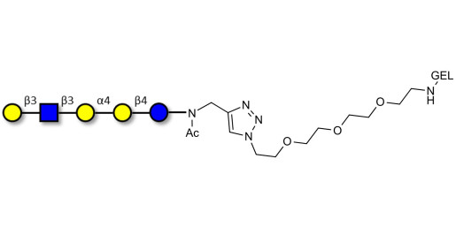 Globopentaose (Gb5) analogue type 1 grafted on gel for affinity chromatography (Linker-GEL A) - Gb5 analogue type 1