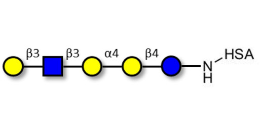 Globopentaose (Gb5) analogue type 1 grafted on HSA - Gb5 analogue type 1