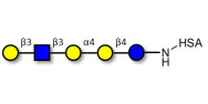 Globopentaose (Gb5)...
