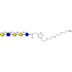 Globopentaose (Gb5) analogue type 1 with free terminal amine (Linker-NH2 B)