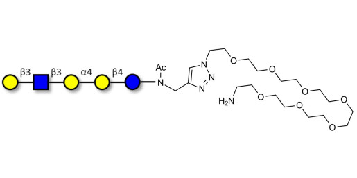 Globopentaose (Gb5) analogue type 1 with free terminal amine (Linker-NH2 C) - Gb5 analogue type 1
