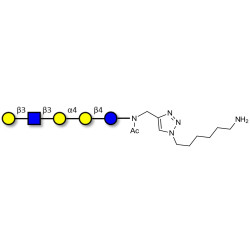 Globopentaose (Gb5) analogue type 1 with free terminal amine (Linker-NH2 D)