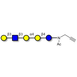 Globopentaose (Gb5) analogue type 1 with terminal alkyne (Linker-CΞCH A)