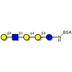 Globopentaose (Gb5) analogue type 2 grafted on BSA