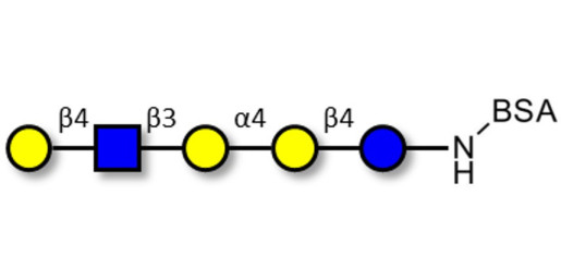 Globopentaose (Gb5) analogue type 2 grafted on BSA - Gb5 analogue type 2