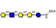 Globopentaose (Gb5)...