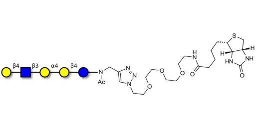 Globopentaose (Gb5) analogue type 2 linked to biotin (Linker-BT A) - Gb5 analogue type 2