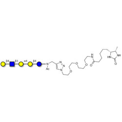 Globopentaose (Gb5) analogue type 2 linked to desthiobiotin (Linker-DBT-A)