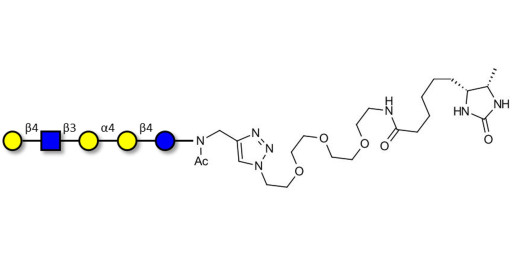 Globopentaose (Gb5) analogue type 2 linked to desthiobiotin (Linker-DBT-A) - Gb5 analogue type 2