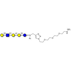 Globopentaose (Gb5) analogue type 2 grafted on gel for affinity chromatography (Linker-GEL A)