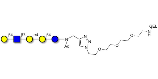 Globopentaose (Gb5) analogue type 2 grafted on gel for affinity chromatography (Linker-GEL A) - Gb5 analogue type 2
