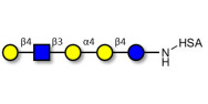 Globopentaose (Gb5)...