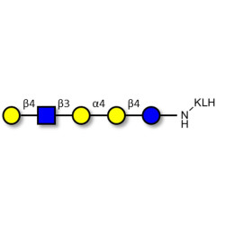 Globopentaose (Gb5) analogue type 2 grafted on KLH