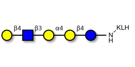 Globopentaose (Gb5) analogue type 2 grafted on KLH - Gb5 analogue type 2