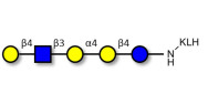Globopentaose (Gb5)...