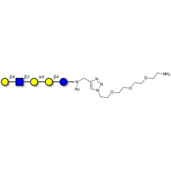 Globopentaose (Gb5) analogue type 2 with free terminal amine (Linker-NH2 B)