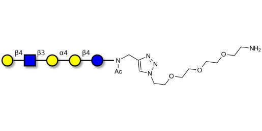 Globopentaose (Gb5) analogue type 2 with free terminal amine (Linker-NH2 B) - Gb5 analogue type 2