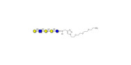 Globopentaose (Gb5)...