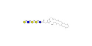 Globopentaose (Gb5)...