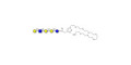 Globopentaose (Gb5) analogue type 2 with free terminal amine (Linker-NH2 C) - Gb5 analogue type 2