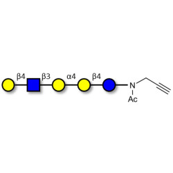 Globopentaose (Gb5) analogue type 2 with terminal alkyne (Linker-CΞCH A)