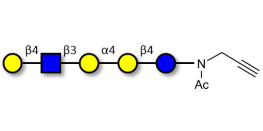 Globopentaose (Gb5) analogue type 2 with terminal alkyne (Linker-CΞCH A) - Gb5 analogue type 2